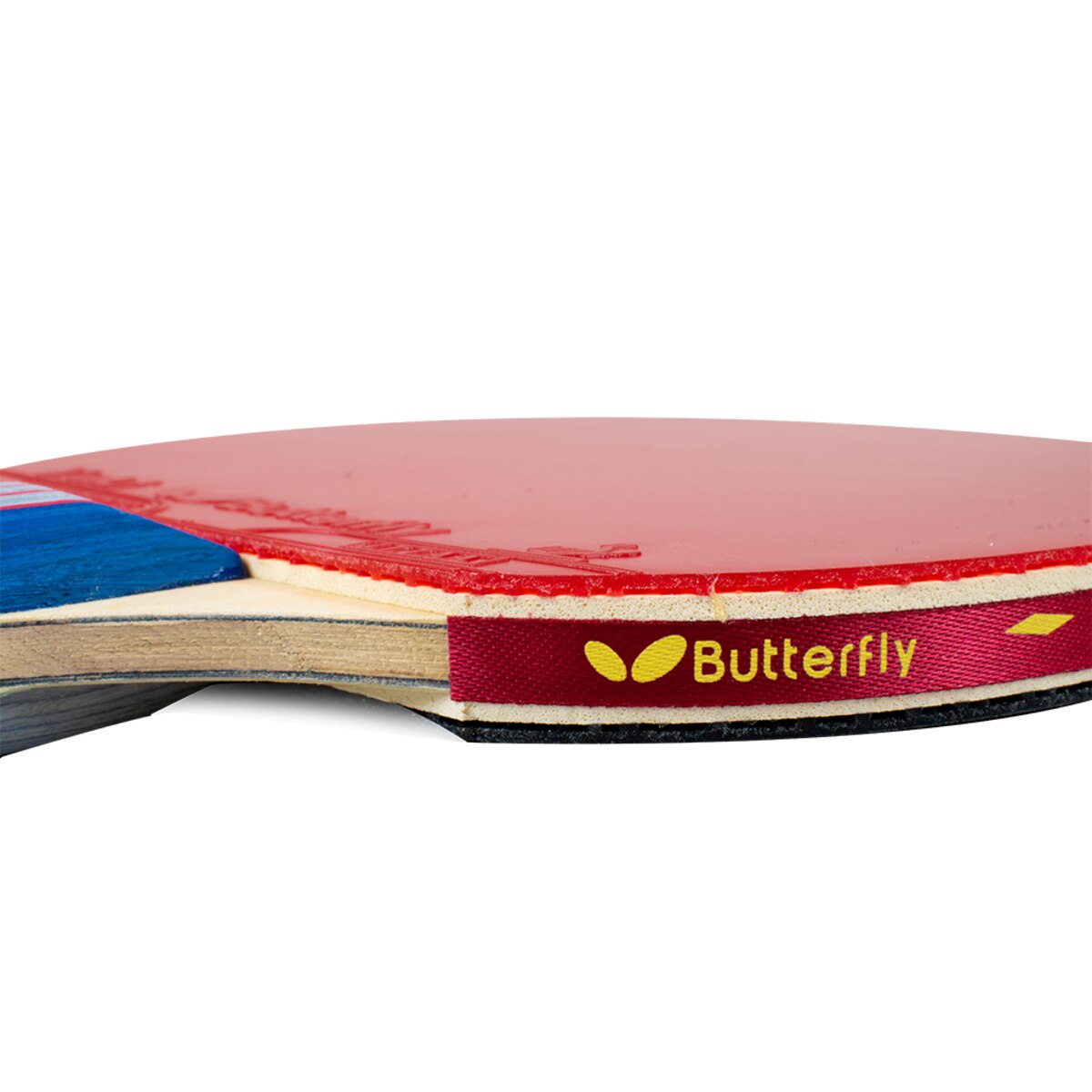 MLTT 401 FL Racket Set | Butterfly Table Tennis